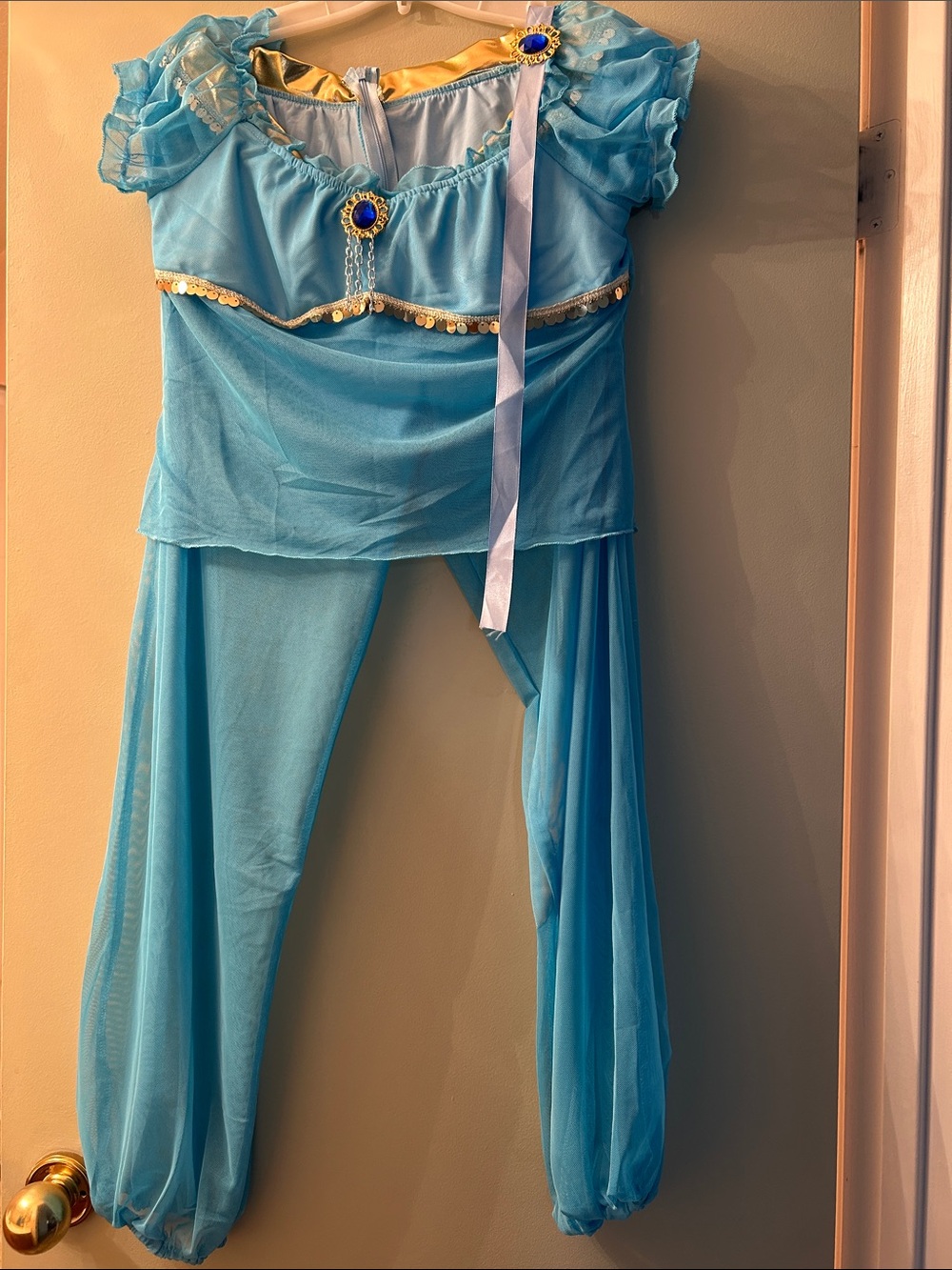 Princess Jasmine Costume - Elegant Light Blue Dress & Pants